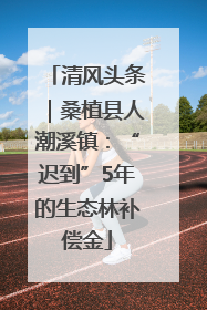 清风头条｜桑植县人潮溪镇：“迟到”5年的生态林补偿金