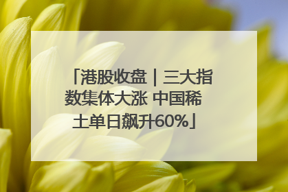 港股收盘｜三大指数集体大涨 中国稀土单日飙升60%