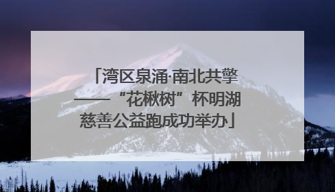 湾区泉涌·南北共擎——“花楸树”杯明湖慈善公益跑成功举办