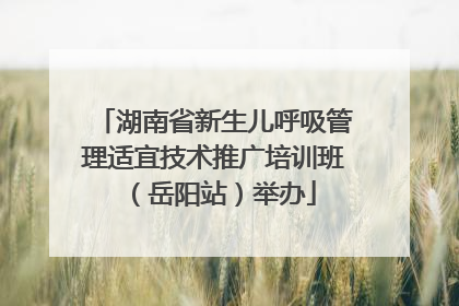 湖南省新生儿呼吸管理适宜技术推广培训班（岳阳站）举办