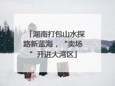 湖南打包山水探路新蓝海，“卖场”开进大湾区