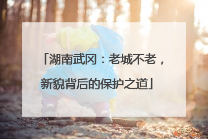 湖南武冈：老城不老，新貌背后的保护之道