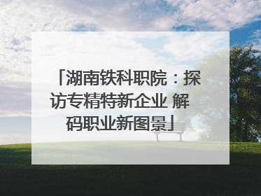湖南铁科职院：探访专精特新企业 解码职业新图景