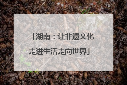 湖南：让非遗文化走进生活走向世界