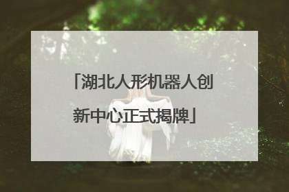 湖北人形机器人创新中心正式揭牌