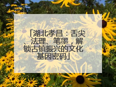 湖北孝昌：舌尖、法理、笔墨，解锁古镇振兴的文化基因密码