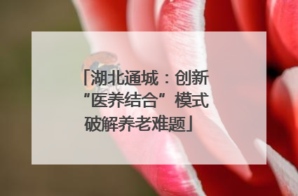 湖北通城：创新 “医养结合”模式 破解养老难题