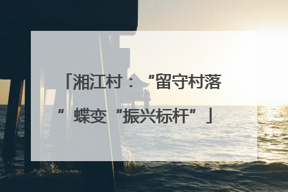 湘江村：“留守村落”蝶变“振兴标杆”