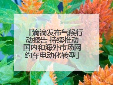 滴滴发布气候行动报告 持续推动国内和海外市场网约车电动化转型