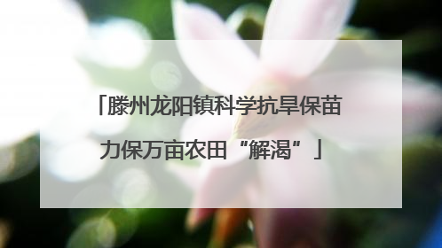 滕州龙阳镇科学抗旱保苗 力保万亩农田“解渴”