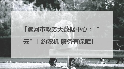 漯河市政务大数据中心：“云”上约农机 服务有保障