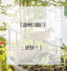 漳州⇋厦门，更快！