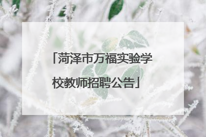 菏泽市万福实验学校教师招聘公告