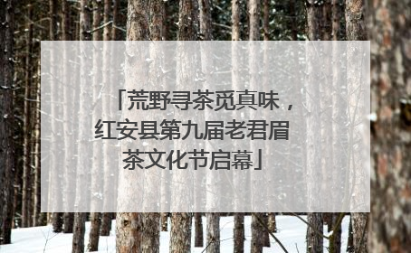荒野寻茶觅真味，红安县第九届老君眉茶文化节启幕