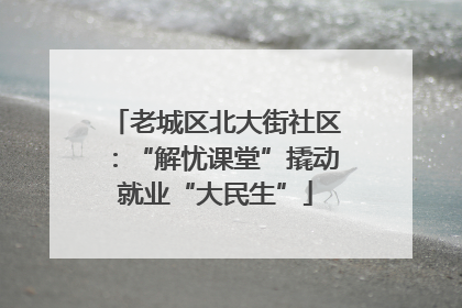 老城区北大街社区：“解忧课堂”撬动就业“大民生”