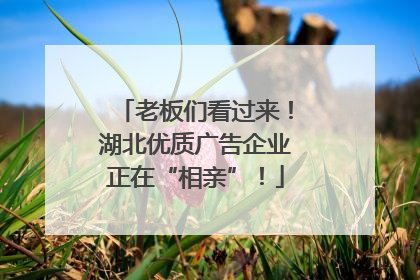 老板们看过来！湖北优质广告企业正在“相亲”！