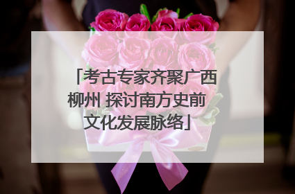 考古专家齐聚广西柳州 探讨南方史前文化发展脉络