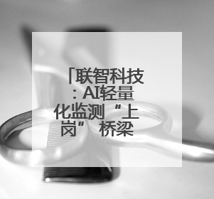 联智科技：AI轻量化监测“上岗” 桥梁结构健康“上云”