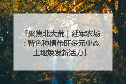 聚焦北大荒｜延军农场：特色种植带旺多元业态 土地焕发新活力