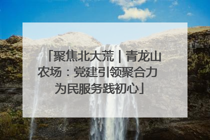 聚焦北大荒｜青龙山农场：党建引领聚合力 为民服务践初心