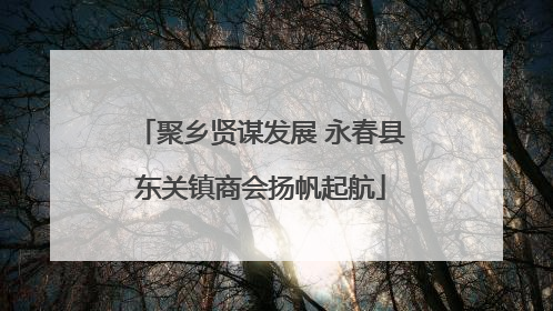 聚乡贤谋发展 永春县东关镇商会扬帆起航