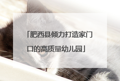 肥西县倾力打造家门口的高质量幼儿园