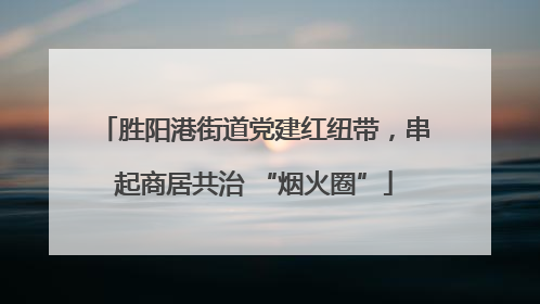 胜阳港街道党建红纽带，串起商居共治 “烟火圈”