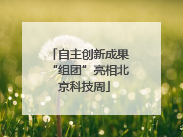 自主创新成果“组团”亮相北京科技周