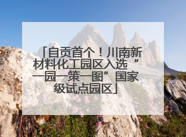 自贡首个！川南新材料化工园区入选“一园一策一图”国家级试点园区
