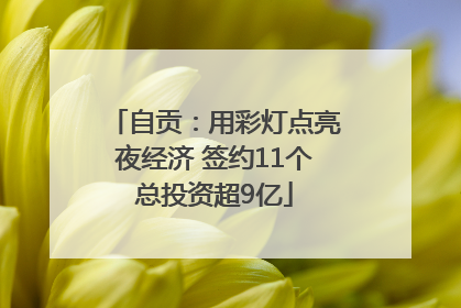 自贡：用彩灯点亮夜经济 签约11个总投资超9亿