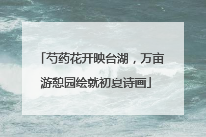 芍药花开映台湖，万亩游憩园绘就初夏诗画