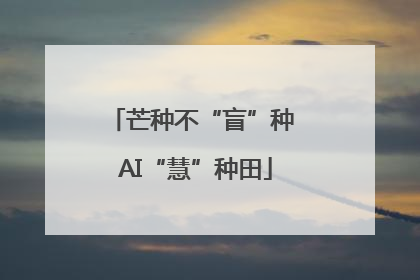 芒种不“盲”种 AI“慧”种田