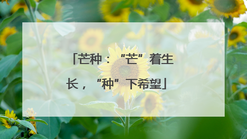芒种：“芒”着生长，“种”下希望
