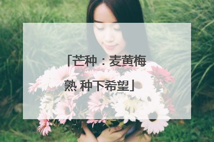芒种：麦黄梅熟 种下希望
