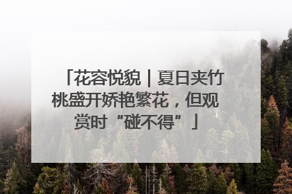 花容悦貌｜夏日夹竹桃盛开娇艳繁花，但观赏时“碰不得”