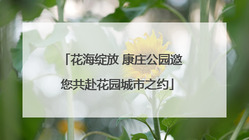 花海绽放 康庄公园邀您共赴花园城市之约