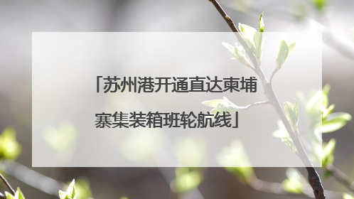 苏州港开通直达柬埔寨集装箱班轮航线