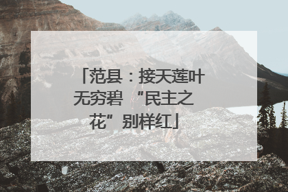 范县：接天莲叶无穷碧 “民主之花”别样红