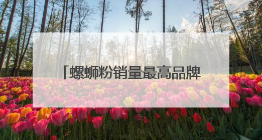螺蛳粉销量最高品牌臭宝的出海密码 口味创新是第一生产力