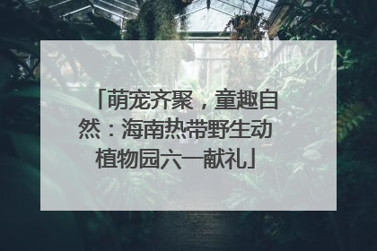 萌宠齐聚，童趣自然：海南热带野生动植物园六一献礼