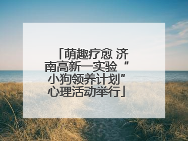 萌趣疗愈 济南高新一实验“小狗领养计划”心理活动举行