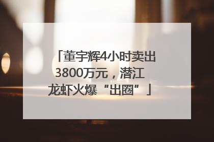 董宇辉4小时卖出3800万元，潜江龙虾火爆“出圈”