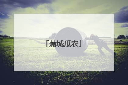蒲城瓜农