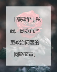 薛建华，私藏、浏览有严重政治问题的网络文章