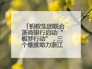 蚂蚁集团联合浙商银行启动“栀梦行动”，三个维度助力浙江下姜村建设共富示范区示范点