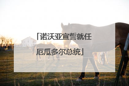 诺沃亚宣誓就任厄瓜多尔总统