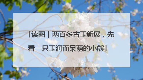 读图｜两百多古玉新展，先看一只玉润而呆萌的小熊