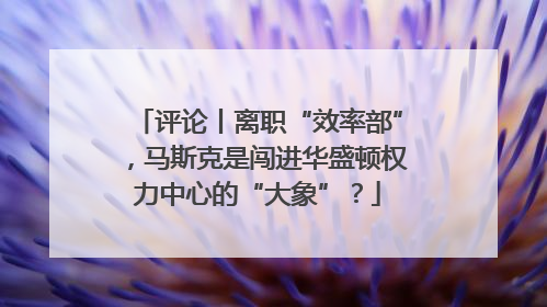 评论丨离职“效率部”，马斯克是闯进华盛顿权力中心的“大象”？