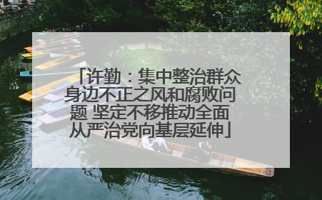 许勤：集中整治群众身边不正之风和腐败问题 坚定不移推动全面从严治党向基层延伸