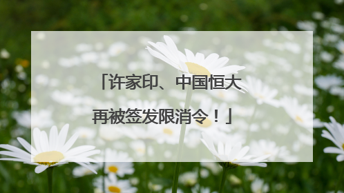 许家印、中国恒大再被签发限消令！